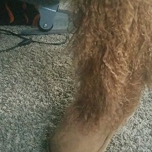Chestnut boots